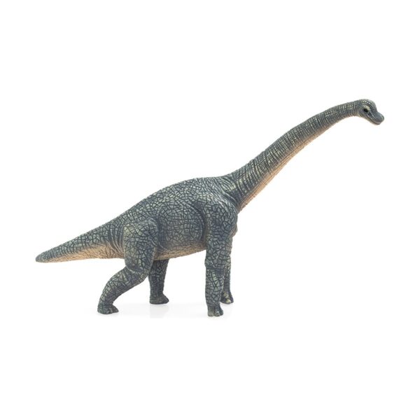 mojo387044 001w figurina dinozaur mojo brachiosaurus