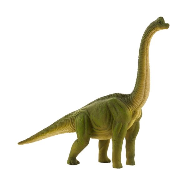mojo387212 001w figurina dinozaur mojo brachiosaurus